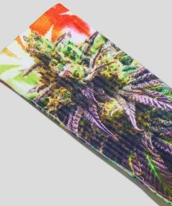 PSD Underwear Good Buds Socks 3 PSD Underwear Good Buds Socks